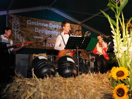 Dożynki Gminne w Drogomyślu 2017